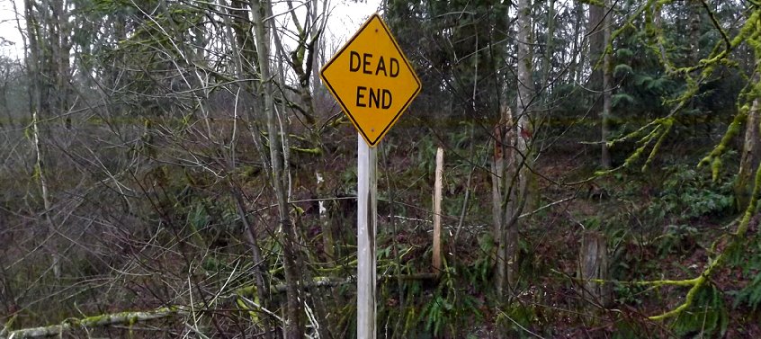 Mid-winter tree damage on the hills surrounding Auburn, Washington.