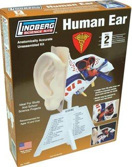 Science kit for the inner ear.