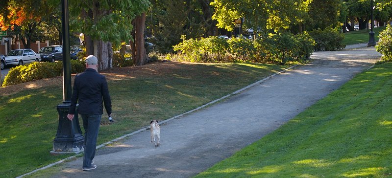 Cal Anderson Park on Capitol Hill in Seattle, Washington - Photo Image.