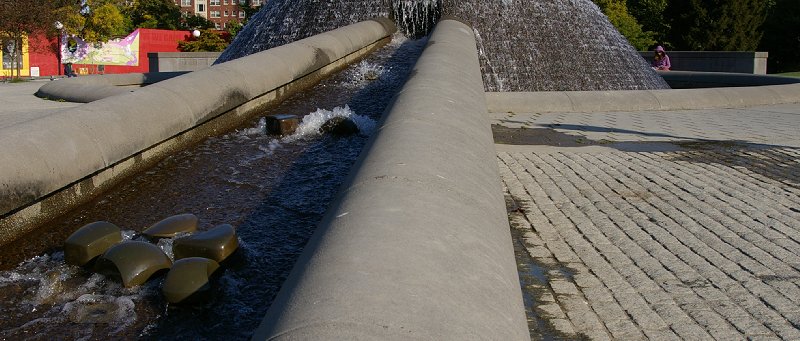 Cal Anderson Park on Capitol Hill in Seattle, Washington - Photo Image.