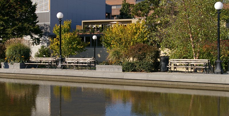 Cal Anderson Park on Capitol Hill in Seattle, Washington - Photo Image.