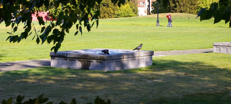 Cal Anderson Park on Capitol Hill in Seattle, Washington - Photo Image.