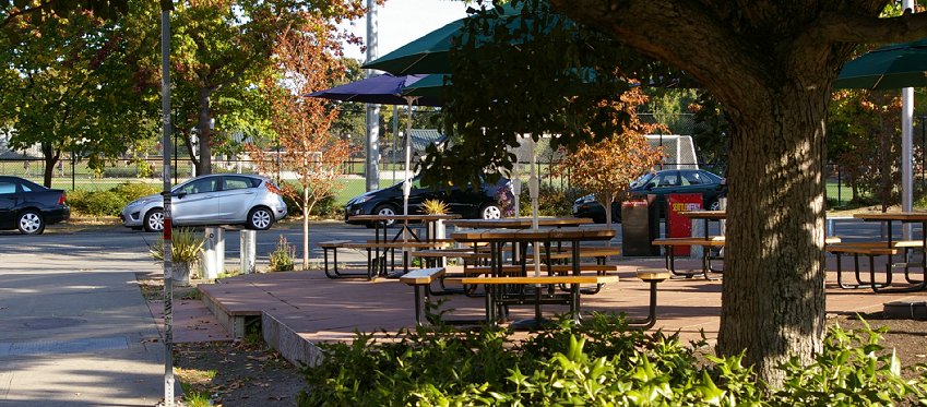 Cal Anderson Park on Capitol Hill in Seattle, Washington - Photo Image.