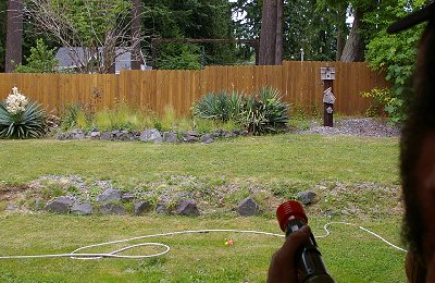Shooting marshmallows in Parkland, Washington.
